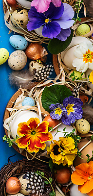 포토 JPG 해외이미지 나무 식물 식기 접시 꽃 백그라운드 꽃무늬 탁자 휴가 부활절 프레임 사람없음 초록색 파란색 세트 노란색 계란 축제 봄 벚꽃 나뭇가지 시골 반지 도자기 신용카드 체리 둥지 은색 냅킨 서빙 설정 구성 비올라 삼색 파스텔톤 카피스페이스 해외포토 계절 기념일 컬러 가구 무늬 과일 장신구 금융 알 공백 파일형식 찰현악기 이미지허브