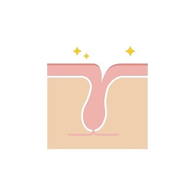 EPS 해외이미지 일러스트 의학 건강 사람없음 피부 제모 모낭 피부층 해외일러스트 신체부위 파일형식 벡터 이미지허브