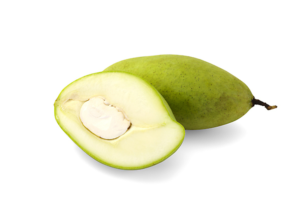 포토 JPG 해외이미지 식물 계절 아시아 길 음식 백그라운드 잎 농업 다이어트 과일 자연 디저트 건강 씨앗 동양인 사람없음 초록색 정원 침묵 주스 흰색 신선 맛 먹기 오브젝트 유기농 날것 슬라이스 망고 섬유 내추럴 강렬 고립 숙성 식용 채식주의자 해외포토 웰빙 나라 산업 음료 컬러 컨셉 모션 인종 소리 직물 열대과일 생태계 채식 파일형식 이미지허브