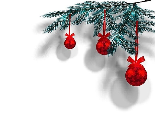 EPS 해외이미지 나무 전통 디자인 실루엣 백그라운드 크리스마스 일러스트 공 자연 휴가 새로움 기념 프레임 세포 그림자 목재 장식 빨간색 파란색 축제 나뭇가지 인사 소나무 신용카드 투명 연도 심볼 활 새장 상록수 침엽수 전나무 고립 가문비나무 현실 해외일러스트 식물 기념일 컬러 컨셉 재료 촬영기법 금융 예절 생태계 케이지 파일형식 벡터 이미지허브