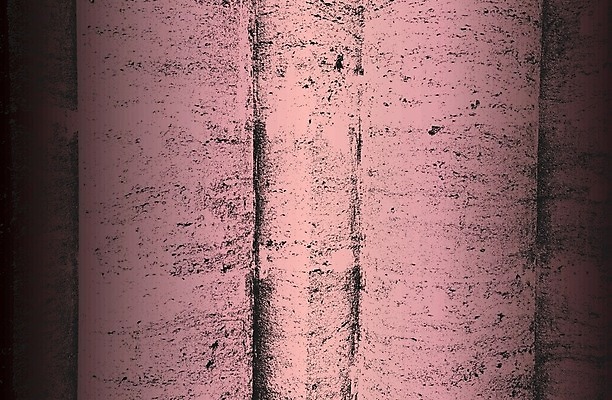 EPS 해외이미지 템플릿 디자인 선 분홍색 백그라운드 패턴 일러스트 벽지 표면 추상 미술 경사 그래픽 장식 빛 유행 금속 검은색 어둠 고통 회색 수확 황금 균열 고급 우아함 인쇄 질감 복고 그런지 석고 전용 콘크리트 프리미엄 스타일 미니멀리스트 해외일러스트 감정 컬러 컨셉 무늬 농업 모션 재질 문화예술 파일형식 벡터 이미지허브