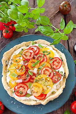 포토 JPG 해외이미지 접시 음식 토마토 채소 치즈 사람없음 목재 세로 컬러풀 케이크 시골 신선 맛 굽기 허브 소금 레시피 바질 입가심 짠맛 크림치즈 해외포토 나무 식물 식기 컬러 컨셉 재료 디저트 유제품 구이 파일형식 이미지허브