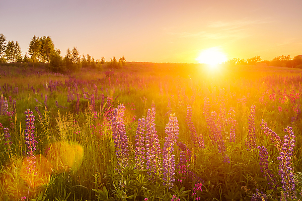 포토 JPG 해외이미지 주간 구름 하늘 풍경 사람없음 야외 태양 일출 해외포토 자연요소 노을 파일형식 이미지허브