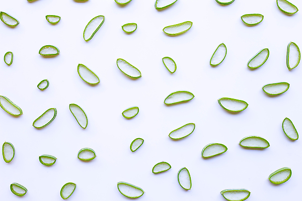 포토 JPG 해외이미지 스튜디오촬영 단면 실내 사람없음 하이앵글 흰배경 알로에 해외포토 식물 뷰포인트 백그라운드 내부 흰색 파일형식 이미지허브