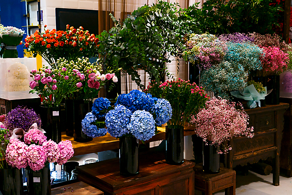 포토 JPG 해외이미지 식물 꽃잎 꽃 분홍색 꽃다발 결혼 백그라운드 잎 꽃무늬 자연 발렌타인데이 선물 사랑 사람없음 장식 빨간색 초록색 컬러풀 장미 노란색 꼬리표 중국 봄 벚꽃 흰색 축하 신선 상하이 가격 다발 배열 수국 해외포토 계절 감정 아시아 컬러 컨셉 무늬 데이이벤트 이벤트 라벨 생태계 파일형식 이미지허브