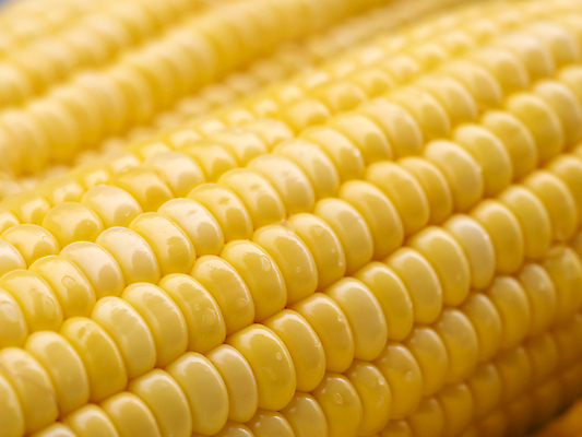 포토 JPG 해외이미지 식물 음식 백그라운드 잎 농업 다이어트 채소 재료 자연 추상 건강 옥수수 사람없음 농작물 농장 노란색 쌓기 식사 수확 신선 그룹 달콤 낟알 시리얼 묘사 유기농 질감 알맹이 날것 흙더미 내추럴 바이오 숙성 줄서기 채식주의자 해외포토 웰빙 산업 컬러 무늬 모션 곡류 흙 맛 생태계 채식 파일형식 더미 이미지허브