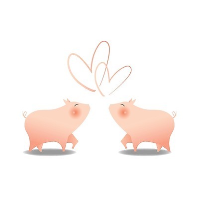 EPS 해외이미지 동물 캐릭터 전통 행복 감정 종교 문화 분홍색 백그라운드 2 일러스트 관계 사랑 농장 축제 흰색 하트 축하 아기 돼지 재산 축복 만화 쌍둥이 심볼 그림 고립 마스코트 해외일러스트 일러캐릭터 모양 컬러 컨셉 농업 포유류 가족 사람 금융 파일형식 벡터 이미지허브