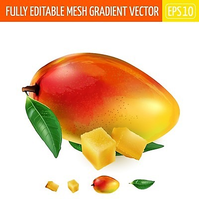 EPS 해외이미지 식물 라이프스타일 음식 잎 다이어트 과일 일러스트 자연 디저트 건강 요리 그래픽 컬러풀 노란색 주방 주스 거래 신선 달콤 맛 잼 먹기 큐브 그림 에코 유기농 슬라이스 망고 내추럴 고립 숙성 이국적 채식주의자 현실 해외일러스트 웰빙 음료 컬러 컨셉 모션 생활 환경 소스_음식 열대과일 생태계 채식 파일형식 벡터 이미지허브