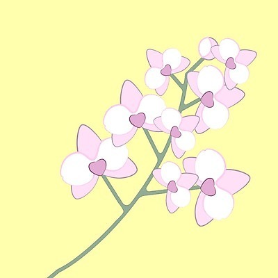 EPS 해외이미지 식물 꽃잎 꽃 줄기 분홍색 꽃다발 결혼 잎 꽃무늬 일러스트 자연 발렌타인데이 선물 사랑 이벤트 장식 여름 정원 봄 수확 벚꽃 나뭇가지 축하 인사 신선 신용카드 생일 난초 우아함 만화 꽃집 향기 부드러움 호접란 내추럴 고립 이국적 해외일러스트 나무 계절 기념일 감정 컬러 컨셉 무늬 농업 데이이벤트 금융 상점 예절 감각 생태계 냄새 파일형식 벡터 산업 경제 이미지허브