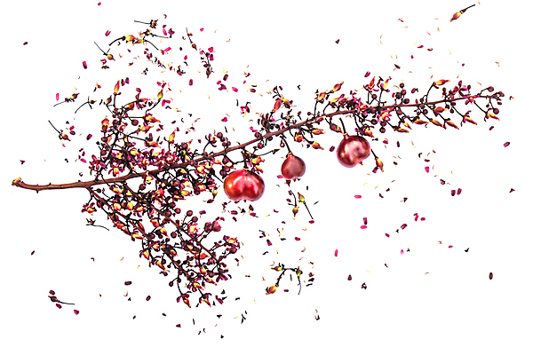 포토 JPG 해외이미지 나무 식물 전통 아시아 꽃다발 백그라운드 잎 채소 과일 태국 자연 귤 건강 동양인 사람없음 야외 목재 장식 빨간색 초록색 약 정원 보라색 검은색 견과류 흰색 신선 그룹 달콤 맛 다발 먹기 허브 제비꽃 날것 해결 내추럴 영원 해외포토 꽃 나라 컬러 컨셉 재료 의학 모션 인종 생태계 파일형식 이미지허브