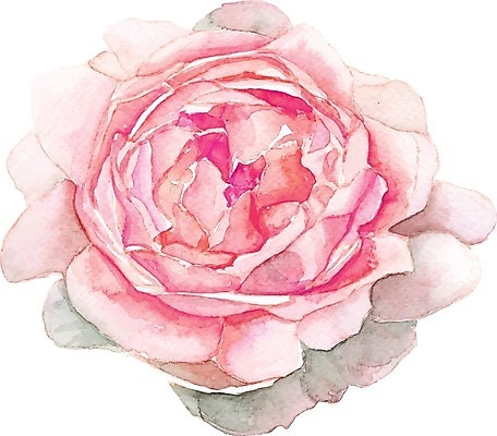 EPS 해외이미지 식물 꽃 일러스트 붓터치 수채화 사람없음 그림 번짐 작약 해외일러스트 파일형식 벡터 효과 이미지허브