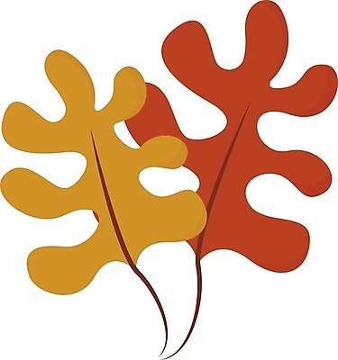 EPS 해외이미지 나무 식물 디자인 백그라운드 잎 꽃무늬 일러스트 자연 장식 초록색 여름 세트 정원 수확 나뭇가지 숲 수집 허브 그림 유기농 고립 양치류 엘리먼트 해외일러스트 웰빙 계절 꽃 컬러 무늬 농업 생태계 파일형식 벡터 이미지허브