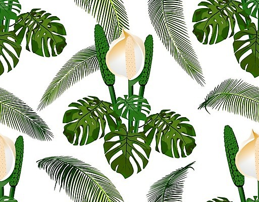 EPS 해외이미지 나무 식물 디자인 섬 백그라운드 잎 패턴 일러스트 자연 벽지 손바닥 미술 장식 초록색 여름 컬러풀 유행 정원 검은색 봄 수확 흰색 나뭇가지 직물 인쇄 사파리 그림 질감 하와이 캘리포니아 브라질 고립 아열대 이국적 인기 해외일러스트 손 계절 컬러 무늬 농업 문화예술 미국 남아메리카 생태계 파일형식 벡터 이미지허브