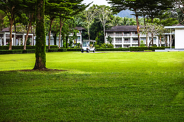 포토 JPG 해외이미지 나무 식물 디자인 백그라운드 골프 호텔 휴식 주택 풍경 잔디 사람없음 야외 내부 초록색 정원 카트 재산 고급 빌라 휴양지 인도네시아 지역 땅바닥 해외포토 아시아 컬러 컨셉 숙소 바닥 건물 금융 구기 장소 파일형식 이미지허브
