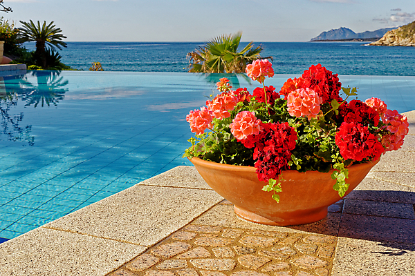 포토 JPG 해외이미지 나무 구름 모래 바다 섬 여행 하늘 호텔 휴가 휴식 손바닥 풍경 사람없음 야외 물 여름 태양 평화 맑음 수영 침묵 이탈리아 만 지중해 휴양지 석호 이국적 터키석 파라다이스 해외포토 자연요소 식물 손 계절 유럽 컨셉 숙소 날씨 소리 장소 수상스포츠 보석 파일형식 이미지허브