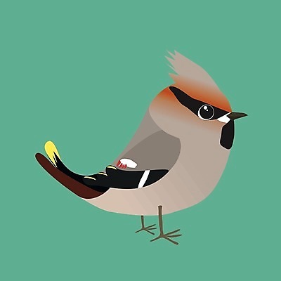 EPS 해외이미지 나무 동물 야생동물 날개 일러스트 자연 조류 귀여움 정원 검은색 나뭇가지 숲 만화 깃털 부리 코믹 계산서 해외일러스트 식물 컬러 컨셉 생태계 파일형식 벡터 이미지허브