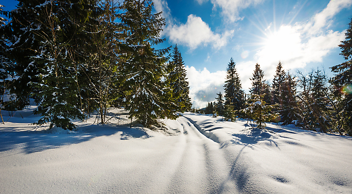 포토 JPG 해외이미지 나무 구름 유럽 여행 겨울 자연 하늘 휴가 스키 산 파노라마 풍경 사람없음 야외 파란색 태양 맑음 냉동 얼음 트래킹 하이킹 추위 성장 흰색 소나무 숲 언덕 서리 북쪽 슬로프 산악지대 웅장함 절정 폭설 눈내림 가문비나무 해외포토 자연요소 식물 계절 나라 컬러 레저 날씨 겨울스포츠 스키장 눈_날씨 촬영기법 자연재해 방향 생태계 파일형식 이미지허브