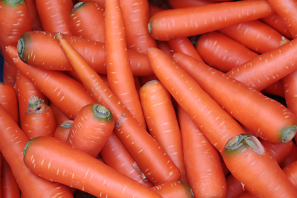 포토 JPG 해외이미지 잡화 여행 토마토 호박 가지 양파 오이 감자 건강 서기 사람없음 가로 노란색 판매 세일 새싹 상점 여러개 당근 수확 발표 그룹 시장 선택 맛 구매 농부 상추 가격 레몬 고객 양배추 지역 후추 소매 아보카도 슈퍼마켓 매각 밭일 총각무 해외포토 식물 직업 컬러 다수 컨셉 농업 채소 과일 모션 뿌리채소 쇼핑 무 향신료 파일형식 이미지허브