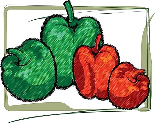 EPS 해외이미지 식물 템플릿 디자인 음식 백그라운드 농업 다이어트 채소 과일 일러스트 재료 건강 요리 그래픽 빨간색 초록색 쇼핑 농장 라벨 주방 식사 저녁식사 샐러드 수확 성장 신선 시장 맛 아침식사 상품 스케치 먹기 유기농 날것 후추 그런지 영양소 채식주의자 세련 해외일러스트 웰빙 산업 컬러 컨셉 모션 프레임 미술 향신료 채식 파일형식 벡터 이미지허브