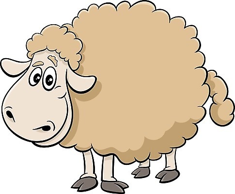 EPS 해외이미지 일러스트 사람없음 양 베이지색 해외일러스트 컬러 포유류 파일형식 벡터 이미지허브