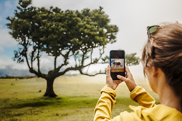 포토 JPG 해외이미지 나무 라이프스타일 여자 여행 백그라운드 밭 자연 모바일 휴가 세포 관리 한명 사람 풍경 야외 빛 스마트폰 핸드폰 여행객 카메라 스크린 사진촬영 놀람 탐험 잡기 네트워크 숲 스마트 그림 공유 해외포토 식물 1 감정 컨셉 농업 모션 표정 생활 전자제품 스마트기기 촬영 생태계 파일형식 이미지허브