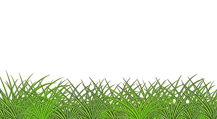 EPS 해외이미지 식물 디자인 계절 백그라운드 잎 꽃무늬 패턴 밭 일러스트 자연 추상 파노라마 잔디 야외 가로 초록색 울타리 환경 정원 웹 봄 성장 흰색 신선 허브 묘사 길이 내추럴 고립 땅바닥 생태학 해외일러스트 교육 꽃 컬러 무늬 농업 인터넷 바닥 촬영기법 담장 생태계 파일형식 벡터 이미지허브