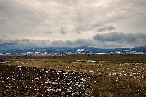 포토 JPG 해외이미지 나무 동물 계절 음식 백그라운드 겨울 밭 농업 자연 하늘 날씨 풍경 사람없음 야외 파란색 농장 쌓기 맑음 냉동 추위 수확 흰색 시골 원형 건초더미 볏짚 먹이 12월 밀 피라미드 롤 장면 밀짚 1월 내추럴 종료 2월 밭일 해외포토 도형 식물 건축물 산업 컬러 모션 곡류 날짜 건초 짚 생태계 랜드마크 파일형식 더미 이미지허브