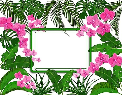 EPS 해외이미지 나무 식물 템플릿 디자인 배너 포스터 분홍색 백그라운드 잎 패턴 일러스트 자연 바나나 손바닥 그림자 미술 그래픽 장식 초록색 빛 컬러풀 유행 정원 흰색 난초 인쇄 심볼 오브젝트 싱글 그림 유기농 엽서 코코넛 내추럴 고립 엘리먼트 현실 디테일 해외일러스트 손 웰빙 컬러 무늬 과일 문화예술 편지 생태계 파일형식 벡터 이미지허브