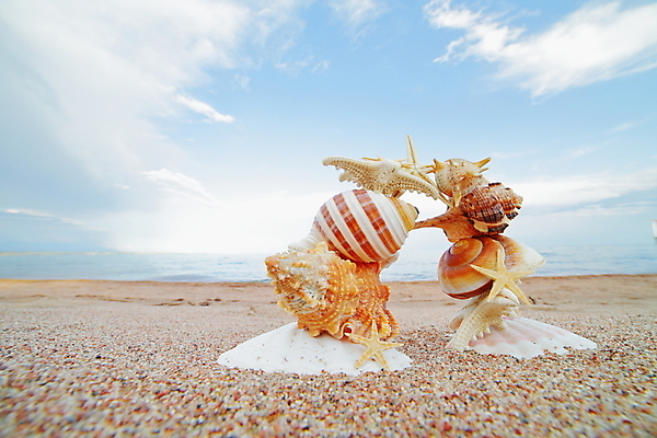 포토 JPG 해외이미지 딸 실루엣 별 바다 의자 데이트 장난 회사 손가락 청소년 휴식 함께함 따뜻함 웃음 사람없음 10대 가로 빛 달리기 햇빛 반사 침묵 우정 꿈 젖음 탐험 유머 결합 생물학 방문 사춘기 양발 파라다이스 스플래쉬 키르기스스탄 해외포토 자연요소 손 교육 감정 가구 컨셉 비즈니스 가족 모션 촬영기법 표정 사람 친구 태양 소리 중앙아시아 파일형식 이미지허브