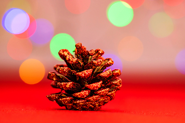 포토 JPG 해외이미지 디자인 계절 행복 백그라운드 크리스마스장식 크리스마스 패턴 추상 휴가 새로움 기념 사람없음 장식 빨간색 빛 크리스마스트리 축제 화환 장식볼 축하 신용카드 황금 소프트포커스 12월 보케 빛망울 광 블러 해외포토 기념일 꽃 감정 컬러 컨셉 무늬 촬영기법 금융 날짜 파일형식 이미지허브