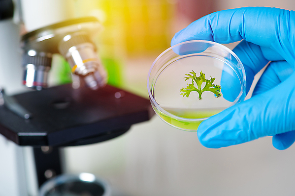 포토 JPG 해외이미지 식물 산업 과학 백그라운드 컨셉 잎 농업 유리 건강 현미경 실험 사람없음 초록색 파란색 약 장비 의사 흰색 액체 실험실 생명공학 약국 과학자 플라스크 분석 생물학 미생물 유리그릇 튜브 발견 조제 개발 바이오 생태학 화학물질 해외포토 직업 그릇 교육 컬러 의학 재질 생물 실험기구 의료진 화학 만들기 학자 파일형식 이미지허브