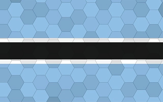 EPS 해외이미지 디자인 배너 문화 여행 백그라운드 일러스트 아프리카 추상 미래 그래픽 파란색 검은색 줄무늬 손상 흰색 깃발 심볼 사인 그림 육각형 직사각형 애국심 벌집 고립 독립 보츠와나 전국 해외일러스트 도형 나라 컬러 컨셉 무늬 파일형식 벡터 이미지허브