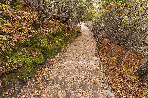 포토 JPG 해외이미지 스포츠 여행 불교 가이드 자연 하늘 휴가 산 국립공원 풍경 사람없음 야외 여행객 산책 등산 트래킹 하이킹 도전 기도 깃발 정상 네팔 방법 산악가 절정 하이커 히말라야 해외포토 직업 공원 아시아 종교 레저 휴식 사람 생태계 파일형식 산맥 이미지허브