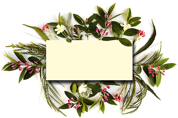 포토 JPG 해외이미지 식물 디자인 배너 꽃 행복 결혼 백그라운드 꽃무늬 텍스트 자연 엄마 기념 프레임 발렌타인데이 선물 사랑 사람없음 장식 초록색 여름 희망 봄 벚꽃 흰색 축하 인사 신선 신용카드 생일 메시지 흰배경 내추럴 파스텔톤 목업 레터링 해외포토 계절 기념일 감정 컬러 컨셉 무늬 가족 데이이벤트 이벤트 금융 예절 생태계 파일형식 이미지허브