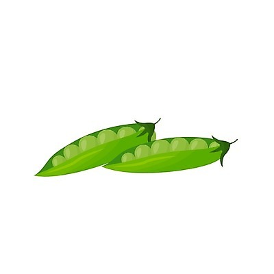 EPS 해외이미지 클립아트 식물 디자인 음식 백그라운드 채소 일러스트 재료 건강 식이요법 씨앗 그래픽 초록색 약 식사 웹 흰색 플랫 만화 먹기 오브젝트 유기농 완두콩 날것 심플 애니메이션 건강식 내추럴 고립 꼬투리 단백질 엘리먼트 영양분 정물화 해외일러스트 웰빙 컬러 인터넷 의학 모션 콩 그림 영양소 파일형식 벡터 이미지허브