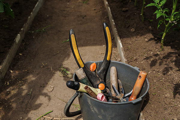 포토 JPG 해외이미지 식물 꽃 화분 지구 장갑 백그라운드 잎 농업 채소 자연 씨앗 취미 사람없음 목재 초록색 세트 상자 농장 환경 정원 흙 봄 장비 성장 공구 시골 업무 은색 냄비 자르기 삽 양동이 물주기 원예 먼지 갈퀴 돌봄 모종 밭일 원예사 세련 해외포토 나무 직업 잡화 계절 산업 컬러 재료 모션 도구 작업 솥 생태계 파일형식 이미지허브