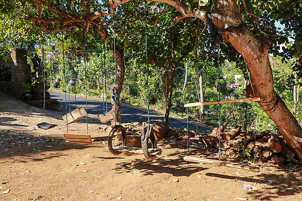 포토 JPG 해외이미지 나무 백인 라이프스타일 공원 행복 어린이 밧줄 백그라운드 컨셉 장난 자연 놀이 휴식 매달리기 풍경 사람없음 야외 목재 초록색 여름 정원 봄 활발 꿈 게임 나뭇가지 놀이터 숲 그네 시골집 복고 타이어 발리 인도네시아 고무 옛날 해외포토 서양인 식물 계절 공공시설 감정 아시아 줄 컬러 섬 재료 모션 주택 사람 생활 생태계 파일형식 이미지허브