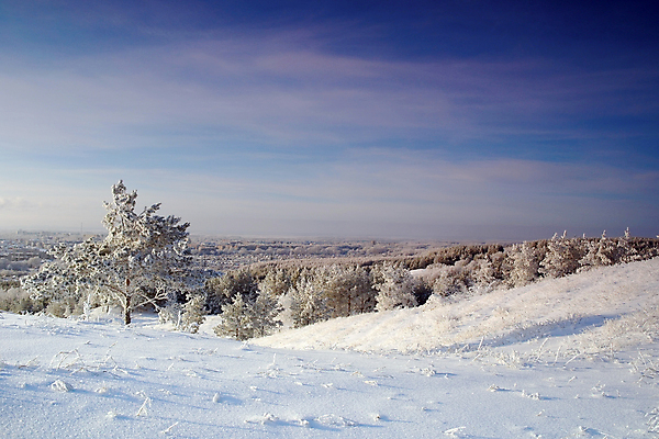 포토 JPG 해외이미지 나무 계절 크리스마스 겨울 자연 하늘 산 풍경 사람없음 파란색 빛 얼음 추위 흰색 소나무 황무지 저녁 숲 오솔길 언덕 서리 러시아 장면 상록수 눈내림 해외포토 자연요소 식물 기념일 유럽 길 컬러 눈_날씨 야간 생태계 파일형식 이미지허브