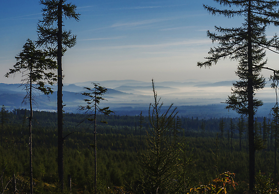 포토 JPG 해외이미지 나무 구름 아이콘 계절 공원 실루엣 여행 백그라운드 잎 패턴 자연 하늘 아침 산 풍경 경사 사람없음 야외 초록색 여름 파란색 빛 햇빛 태양 일출 환경 계곡 안개 소나무 숲 언덕 장면 내추럴 뿌연 슬로바키아 절정 가문비나무 해외포토 주간 자연요소 식물 공공시설 유럽 컬러 무늬 날씨 촬영기법 노을 생태계 파일형식 이미지허브