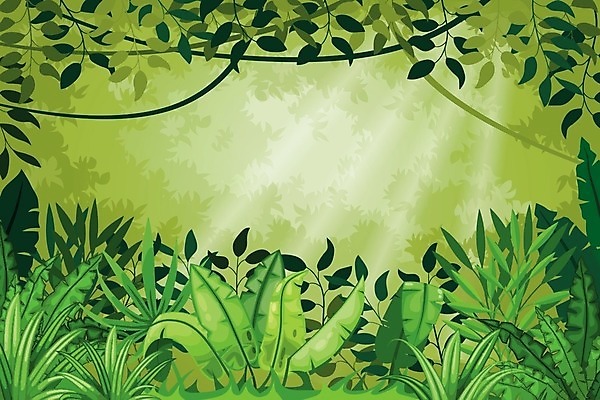 EPS 해외이미지 나무 식물 잎 일러스트 자연 풍경 목재 초록색 열대우림 아마존 해외일러스트 컬러 재료 숲 생태계 파일형식 벡터 이미지허브