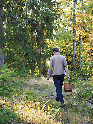 포토 JPG 해외이미지 나무 식물 라이프스타일 계절 남자 음식 스포츠 백그라운드 낙엽 잎 자연 건조 건강 사람 사람없음 야외 여름 빛 태양 노란색 바구니 버섯 수확 가을 신선 잡기 숲 수집 유기농 질감 사냥 내추럴 곰팡이 식용 채식주의자 해외포토 자연요소 웰빙 컬러 농업 모션 생활 생태계 채식 파일형식 이미지허브
