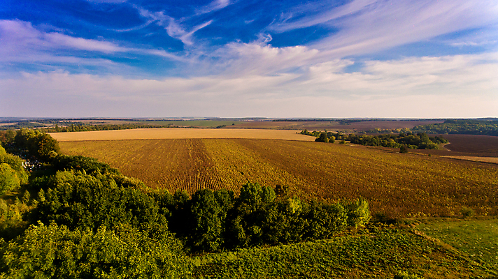 포토 JPG 해외이미지 나무 식물 구름 계절 행복 문화 음식 여행 백그라운드 밭 농업 자연 벽지 하늘 추상 안테나 풍경 사람없음 야외 초록색 파란색 빛 햇빛 농장 농경지 노란색 환경 맑음 수확 가을 흰색 시골 황금 땅 질감 장면 내추럴 드론 조감도 수평선 해외포토 자연요소 감정 산업 컬러 무늬 통신 날씨 태양 생태계 파일형식 이미지허브