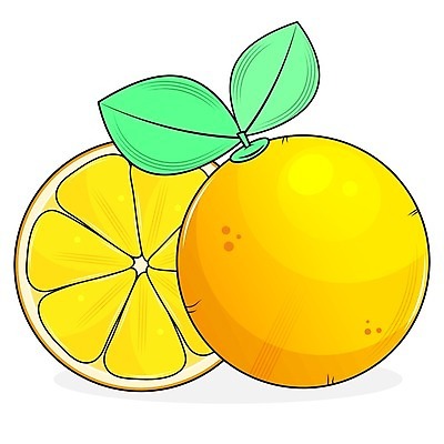 EPS 해외이미지 오렌지 일러스트 사람없음 주황색 해외일러스트 컬러 과일 파일형식 벡터 이미지허브