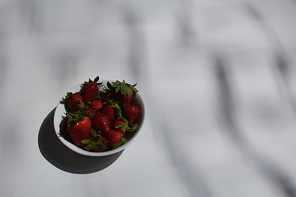 포토 JPG 해외이미지 라이프스타일 여자 열매 음식 다이어트 과일 공 유리 딸기 아이스크림 디저트 건강 사람없음 야외 10대 빨간색 초록색 햇빛 하트 신선 잡기 사발 스페인 달콤 맛 저녁 설탕 먹기 레몬 민트 만족 상쾌 라임 요거트 셔벗 숙성 혼자 성인여자만 해외포토 모양 식물 감정 유럽 컬러 컨셉 모션 청소년 재질 유제품 사람 생활 태양 사기그릇 야간 허브 여자만 성인만 파일형식 이미지허브