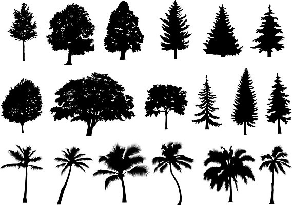 EPS 해외이미지 모양 나무 식물 디자인 계절 공원 실루엣 줄기 여행 백그라운드 잎 겨울 꽃무늬 일러스트 자연 추상 손바닥 미술 풍경 야외 목재 그래픽 여름 세트 환경 정원 검은색 성장 흰색 나뭇가지 소나무 숲 수집 심볼 그림 에코 윤곽 상록수 전나무 내추럴 고립 생태학 엘리먼트 해외일러스트 손 공공시설 교육 꽃 컬러 무늬 재료 문화예술 촬영기법 생태계 파일형식 벡터 이미지허브
