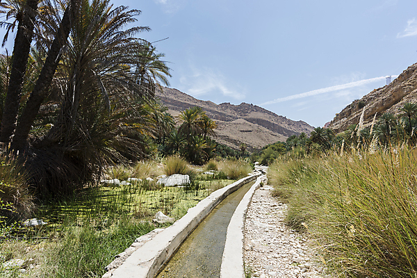 포토 JPG 해외이미지 모래 여행 자연 하늘 휴가 산 건조 풍경 사람없음 야외 초록색 태양 농장 정원 골짜기 놀람 사막 탐험 바위 거친 중앙 언덕 운하 아라비아 동쪽 내추럴 깊이 오지 원정 지질학 그리너리 해외포토 자연요소 교육 감정 컬러 농업 표정 돌_바위 방향 생태계 파일형식 트랜드컬러 이미지허브