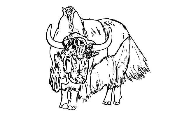 EPS 해외이미지 동물 손 얼굴 야생동물 일러스트 뿔 서기 농장 머리 미국 소고기 수확 소 플랫 낙서 인쇄 만화 스케치 들소 사인 흰배경 그림 윤곽 판화 산악지대 고립 스코틀랜드 해외일러스트 백그라운드 북아메리카 농업 포유류 모션 영국 산 육류 미술 신체부위 흰색 파일형식 벡터 이미지허브