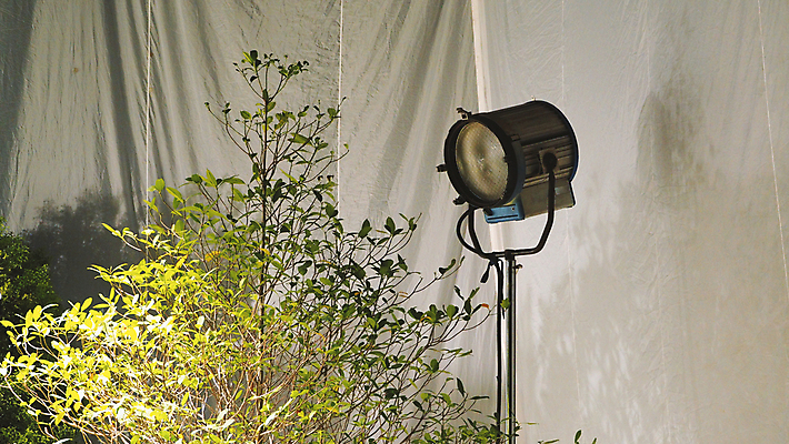 포토 JPG 해외이미지 잎 사람없음 빛 카메라 사진촬영 장비 삼각대 촬영장비 해외포토 식물 전자제품 촬영 도구 파일형식 이미지허브