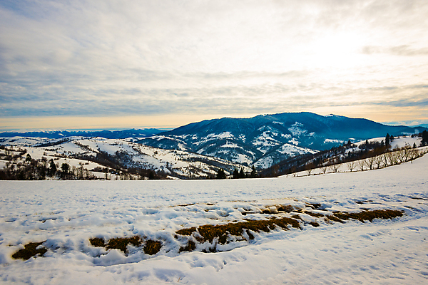포토 JPG 해외이미지 나무 계절 유럽 여행 백그라운드 겨울 자연 하늘 휴가 산 파노라마 풍경 사람없음 야외 파란색 우주 환경 냉동 얼음 황혼 일몰 하이킹 추위 흰색 시골 야간 숲 신비 서리 북쪽 내추럴 산악지대 절정 폭설 눈내림 가문비나무 해외포토 자연요소 식물 나라 컬러 컨셉 레저 눈_날씨 촬영기법 노을 자연재해 방향 생태계 파일형식 이미지허브