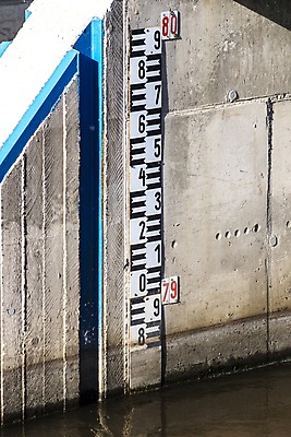 포토 JPG 해외이미지 나무 동물 응시 여자 야생동물 밭 포유류 자연 사슴 털 뿔 사람없음 야외 환경 숲 큼 사냥 귀 조심 암사슴 해외포토 식물 시선 농업 사람 신체부위 크기 암컷 생태계 파일형식 이미지허브